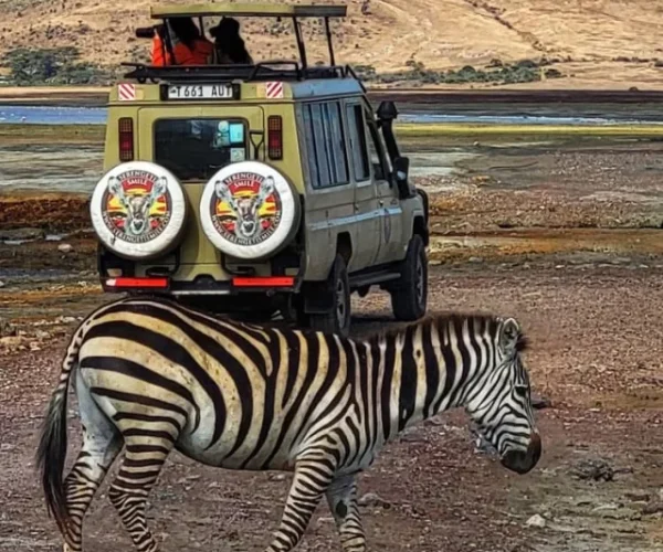 safari-tanzania-2